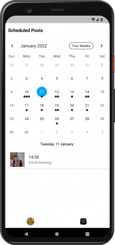 Feed Preview Calendar View